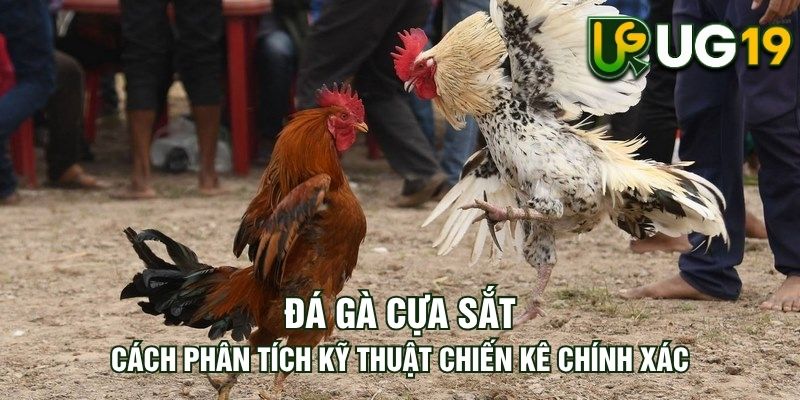 Tin tức