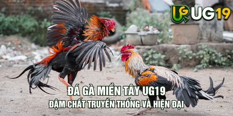 Tin tức