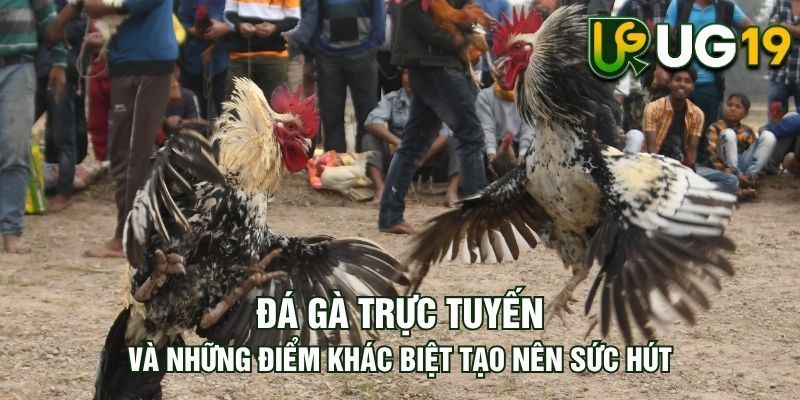 Tin tức