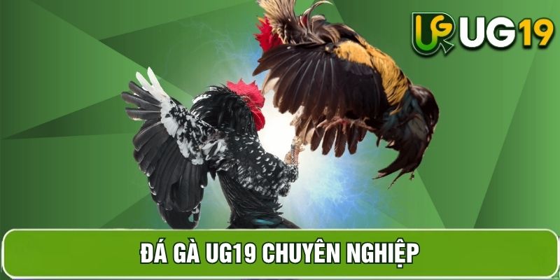 Hình ảnh sản phẩm đá gà