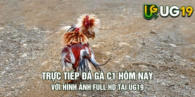 Tin tức